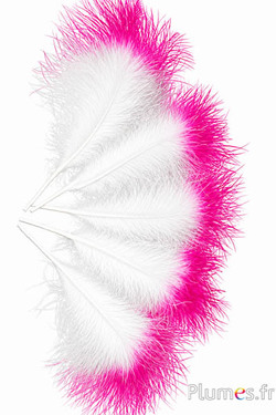 Plume 3 veren - hoogte 20 cm - wit-pink